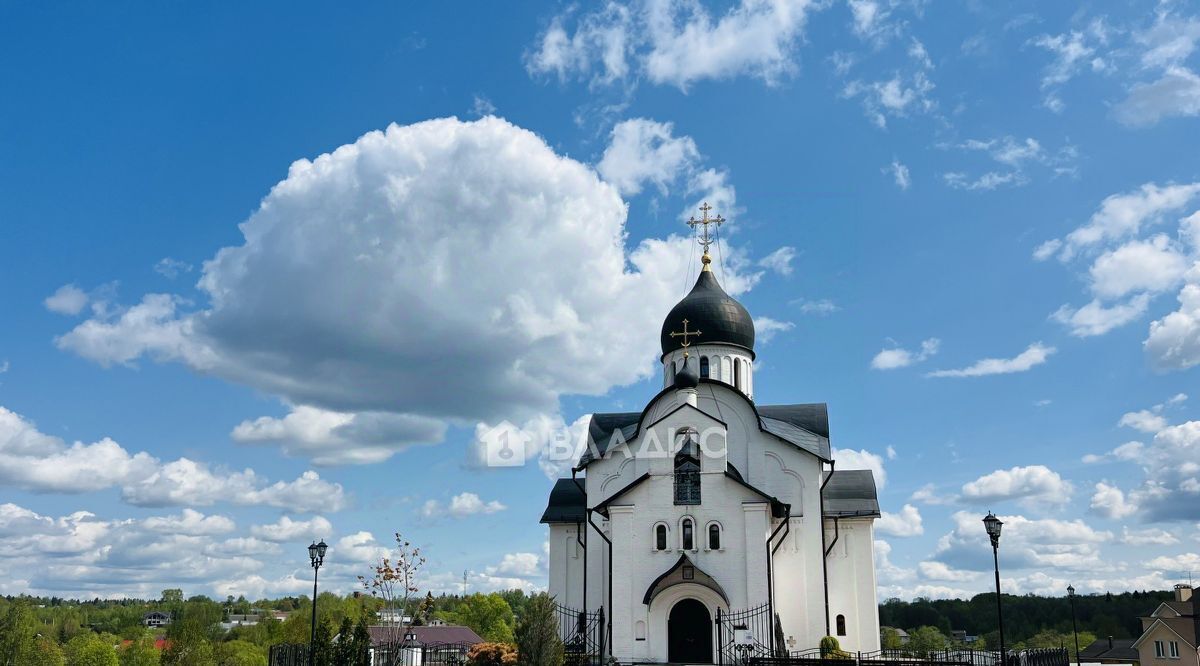 дом городской округ Пушкинский д Митрополье 27 фото 31