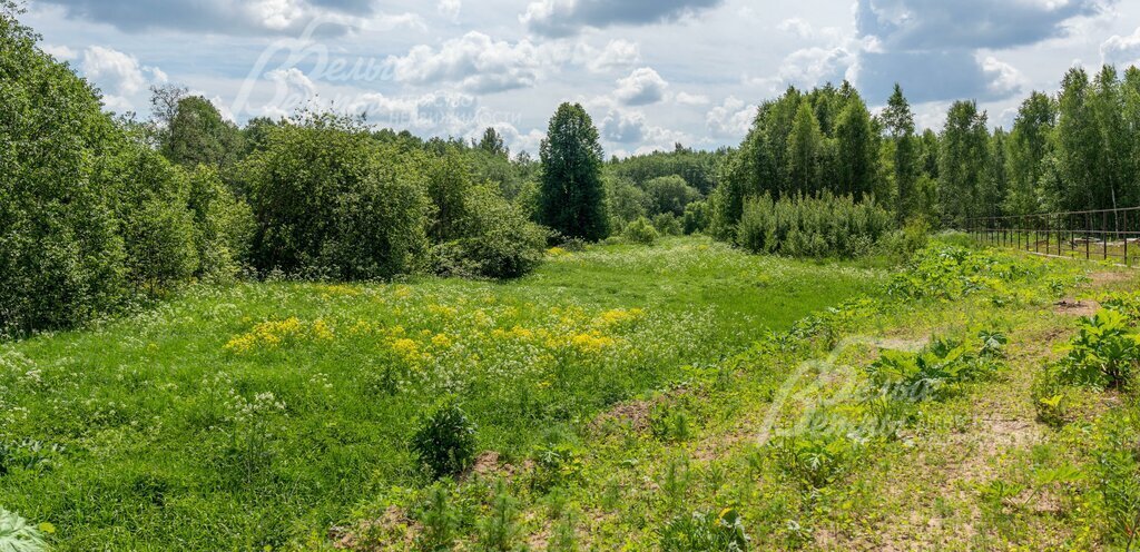 земля г Москва п Михайлово-Ярцевское д Лужки СНТ Лужки фото 3