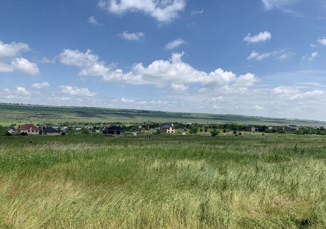 р-н Октябрьский садовое товарищество Птицевод фото