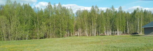 земля д Соловеново Переславль-Залесский городской округ фото