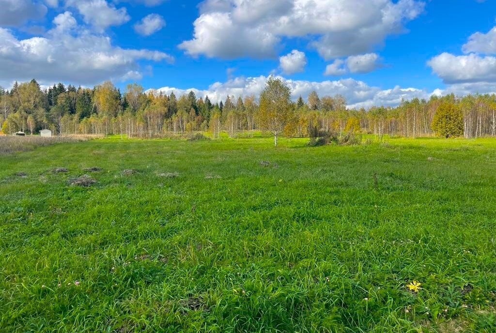 земля городской округ Наро-Фоминский д Пожитково Апрелевка фото 17