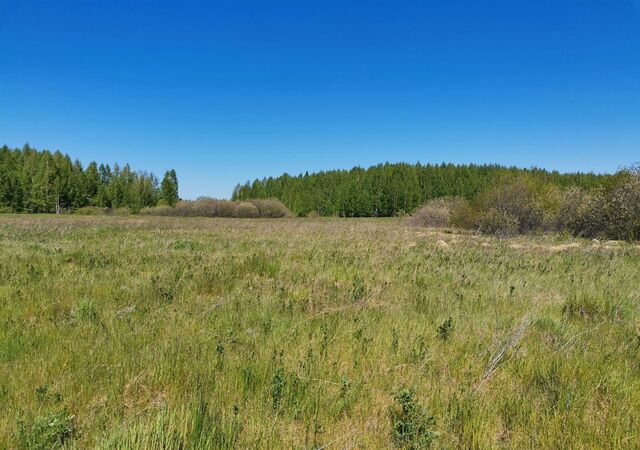 Тюбукское сельское поселение, Снежинск фото