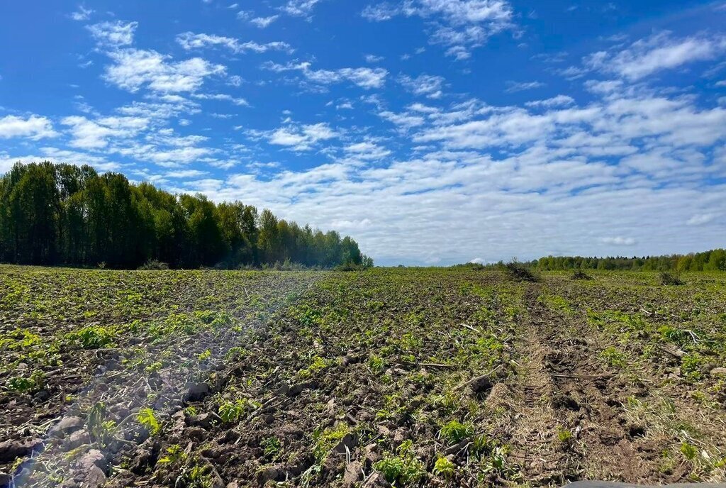 земля городской округ Клин д Никитское фото 14