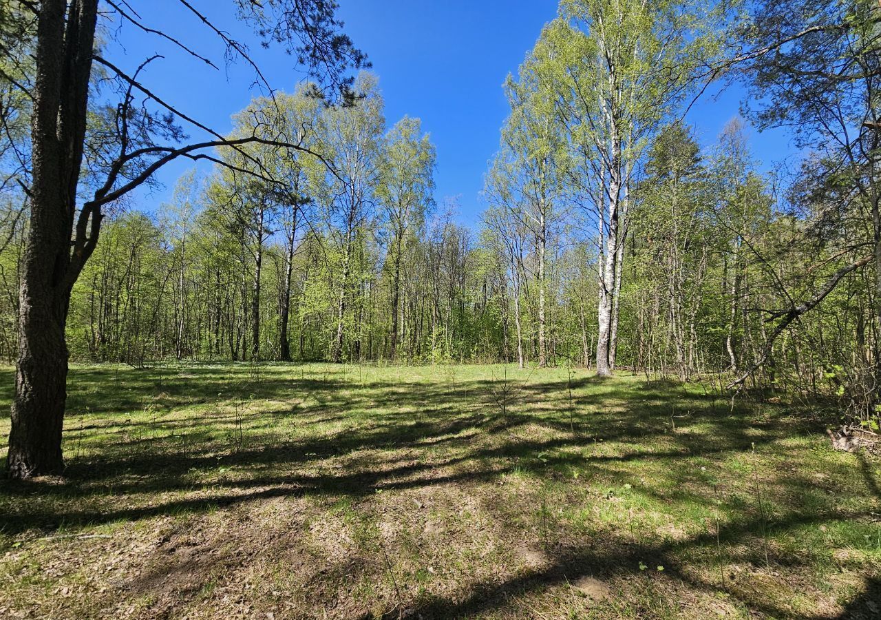 земля р-н Всеволожский Юкковское сельское поселение, Санкт-Петербург фото 19