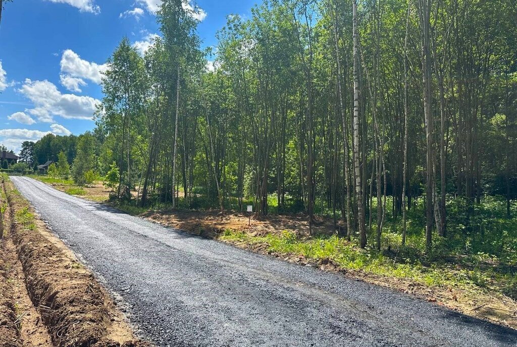 земля городской округ Истра д Слабошеино Нахабино фото 18