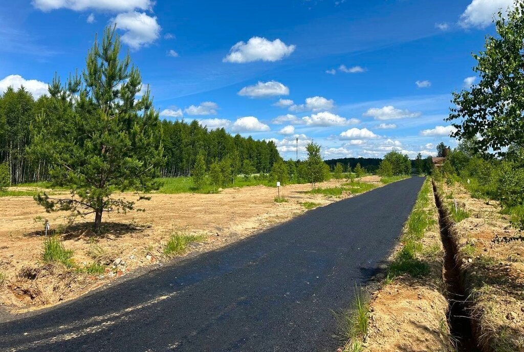 земля городской округ Истра д Слабошеино Нахабино фото 27