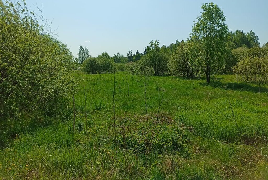 земля р-н Богородицкий д Красницы Бегичевское, улица Новостройка, муниципальное образование фото 1