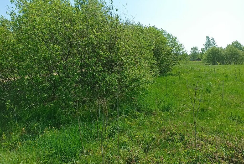 земля р-н Богородицкий д Красницы Бегичевское, улица Новостройка, муниципальное образование фото 3