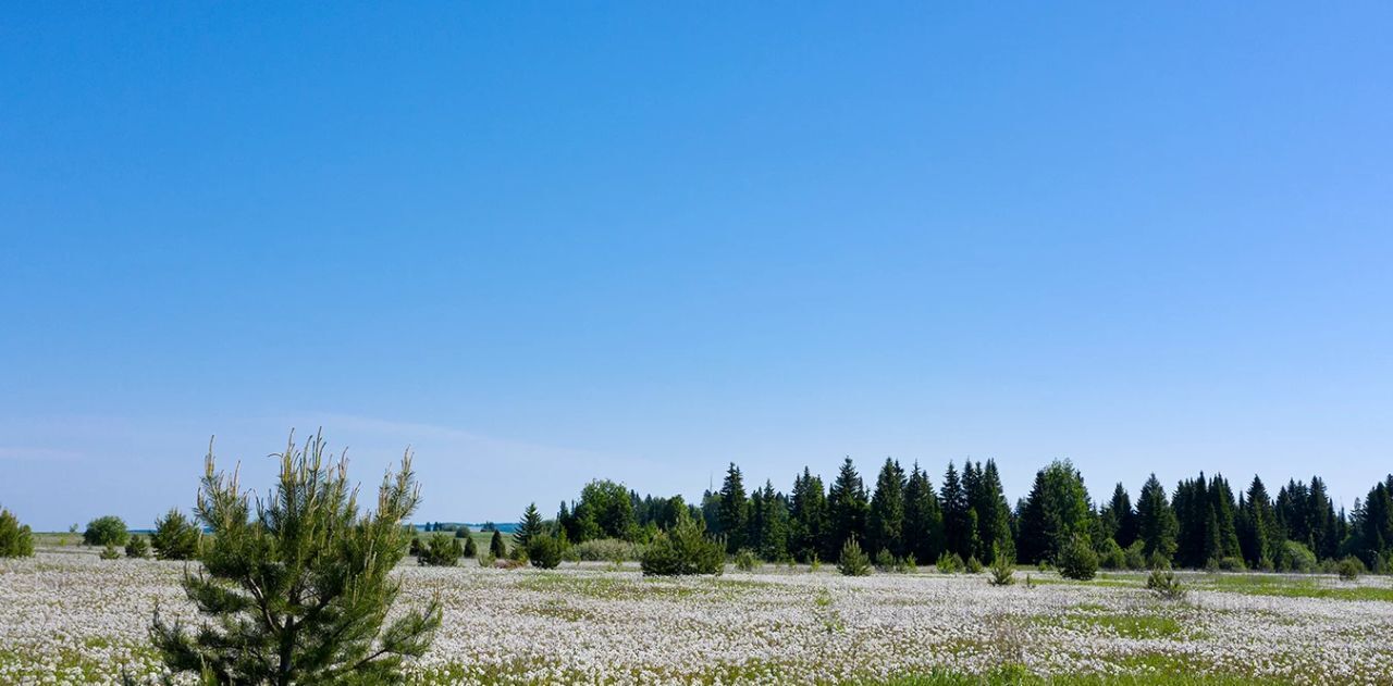 земля р-н Завьяловский ТСН Красная Горка тер., ул. Садовая, 3 фото 3