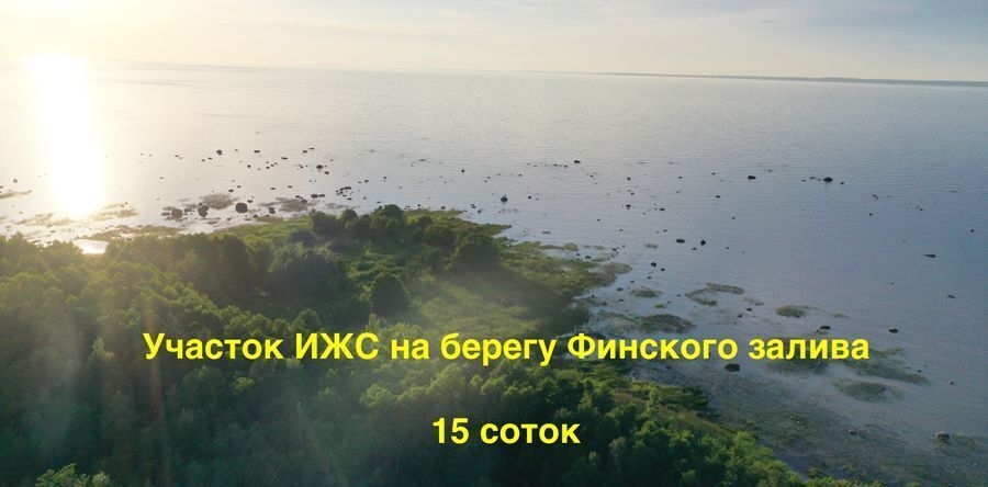 земля р-н Ломоносовский д Шепелево Лебяженское городское поселение фото 1