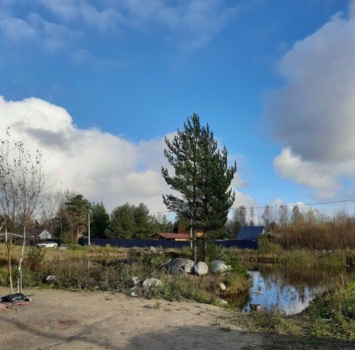 дом р-н Всеволожский д Борисова Грива Рахьинское городское поселение фото 2