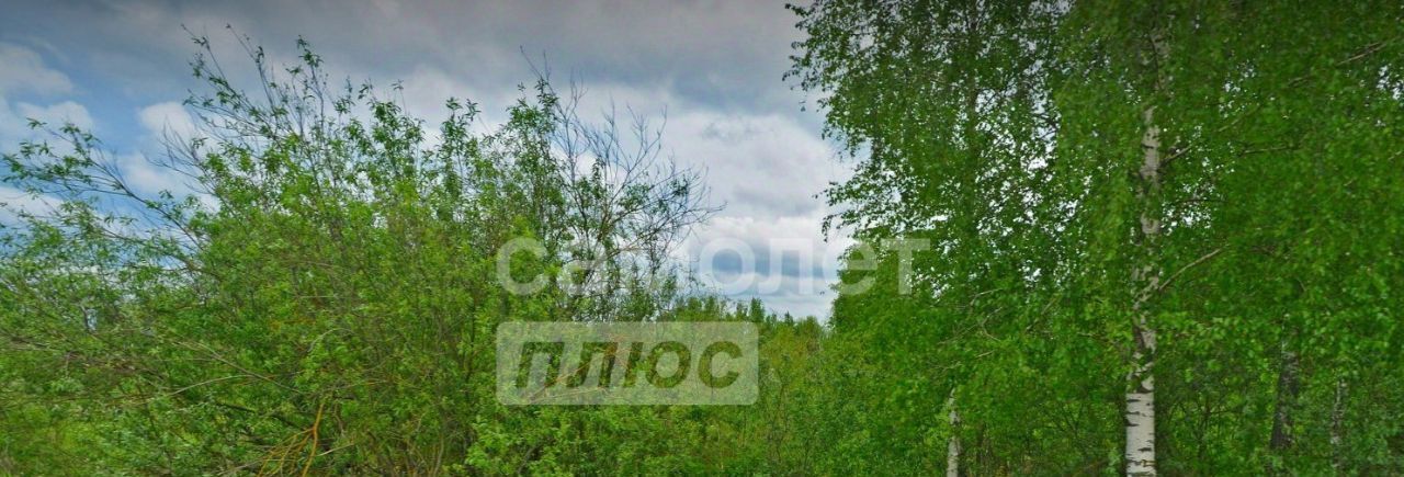 земля городской округ Орехово-Зуевский п Снопок Старый снт Ранет-2 фото 1