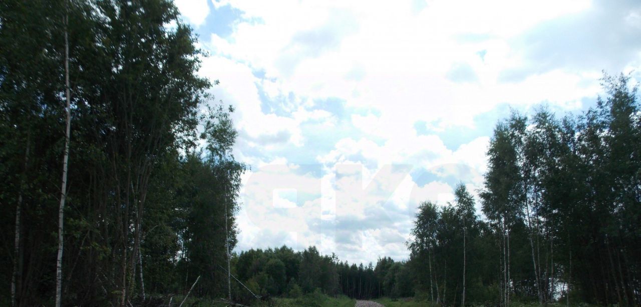 земля городской округ Раменский д Кузяево фото 3