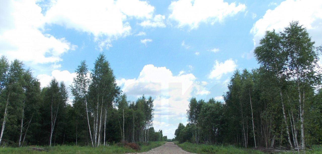 земля городской округ Раменский д Кузяево фото 4