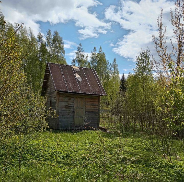 земля р-н Конаковский снт Радуга 5-я линия фото 3