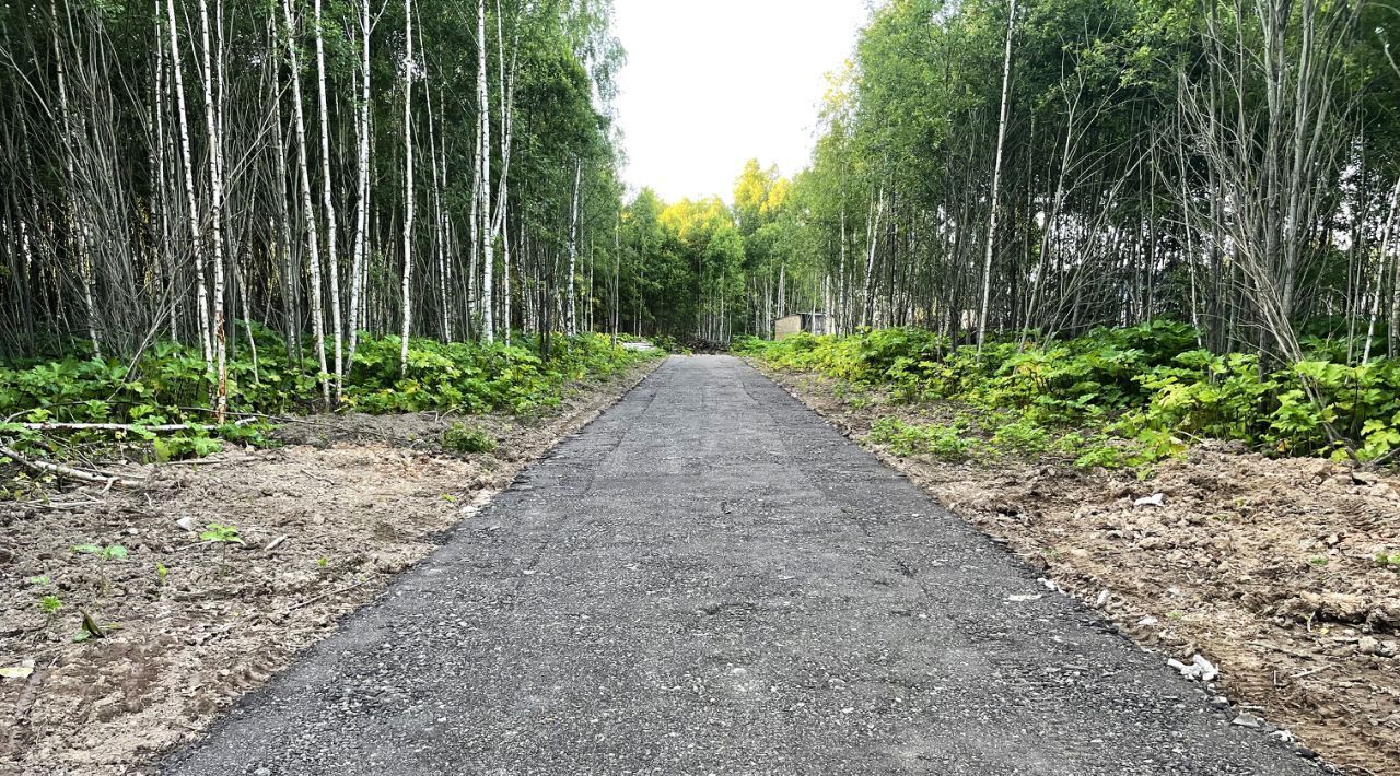 земля городской округ Солнечногорск д Новая фото 1