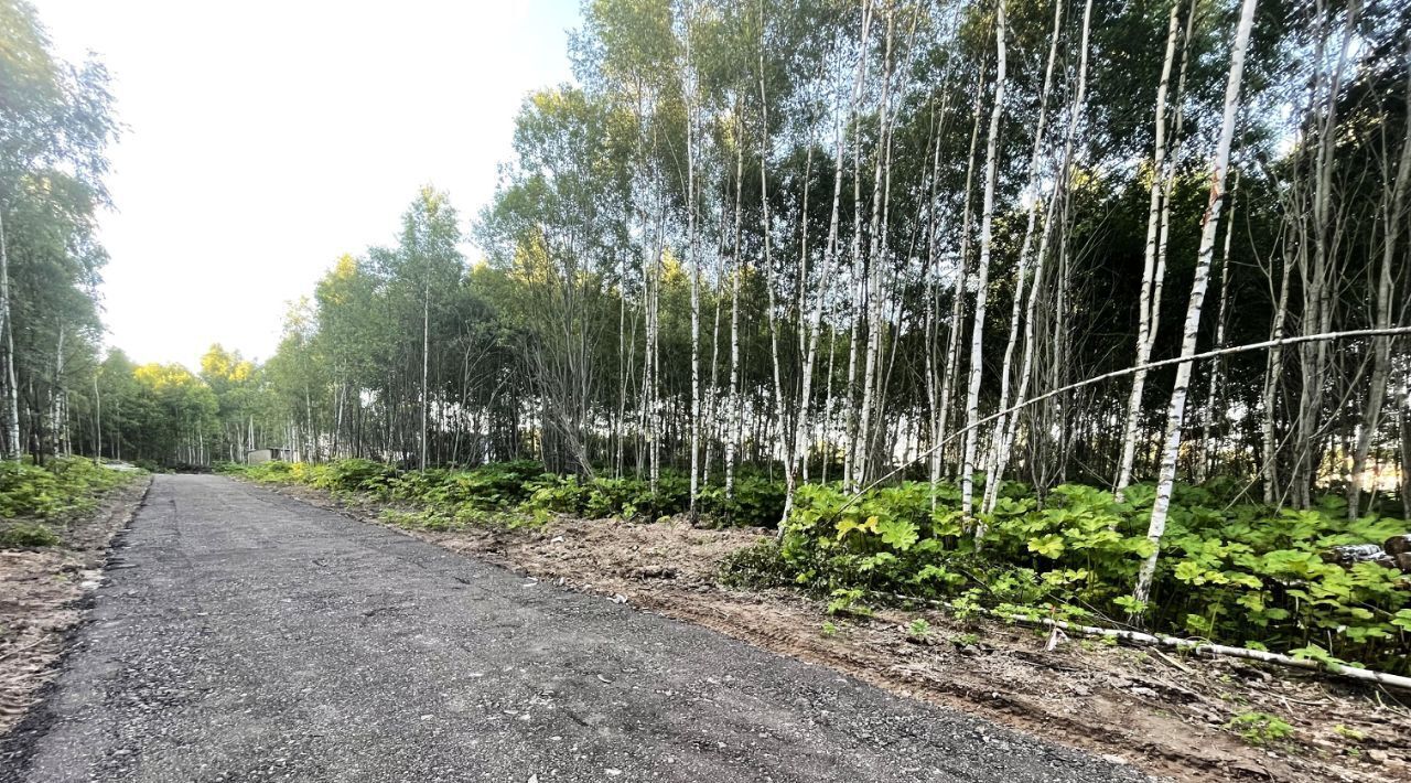 земля городской округ Солнечногорск д Новая фото 3