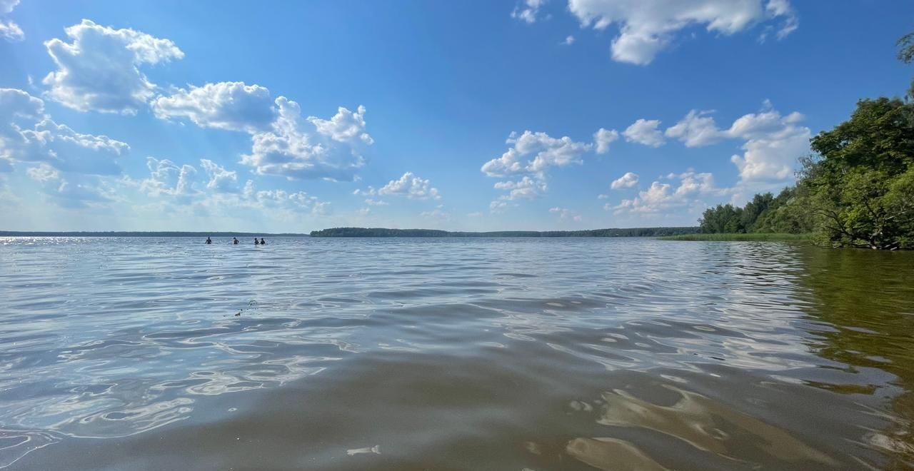 земля городской округ Пушкинский д Василёво Ашукино фото 4