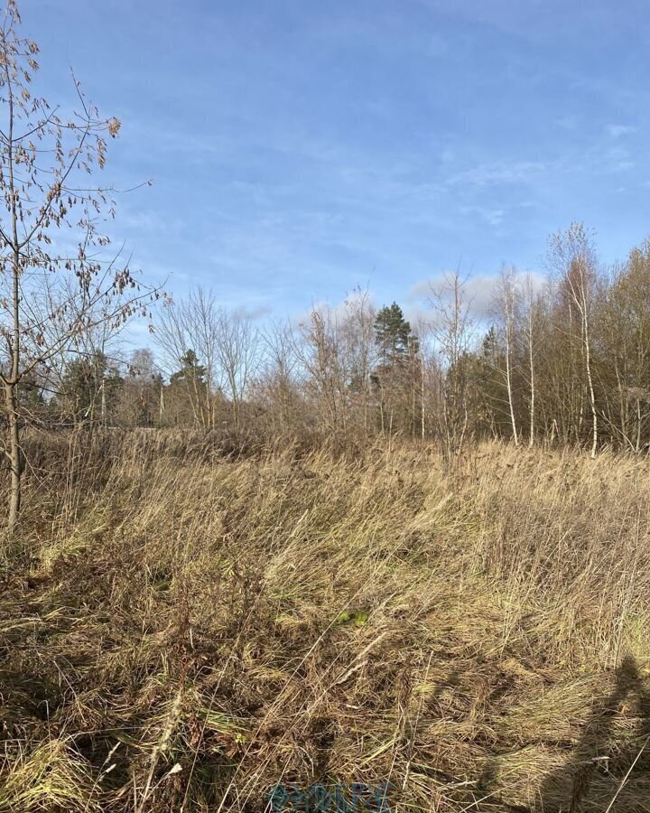 земля городской округ Коломенский с Федосьино ул Производственная 5 Коломна фото 3