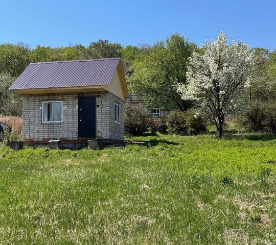 село Васильевка фото