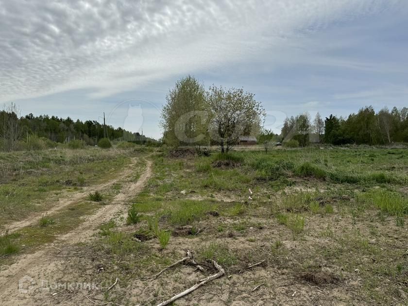 земля р-н Нижнетавдинский село Тюнево фото 1