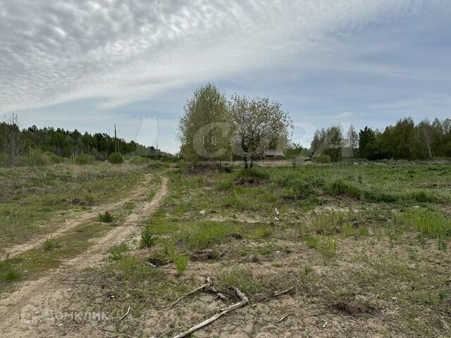 земля село Тюнево фото