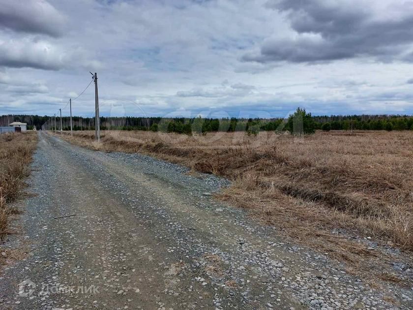 земля р-н Нижнетавдинский садоводческое некоммерческое товарищество Берёзка фото 2