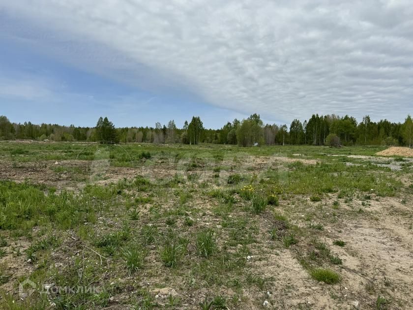 земля р-н Нижнетавдинский село Тюнево фото 2