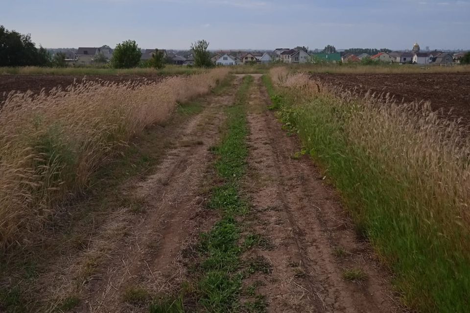 земля муниципальное образование Анапа, хутор Воскресенский фото 2