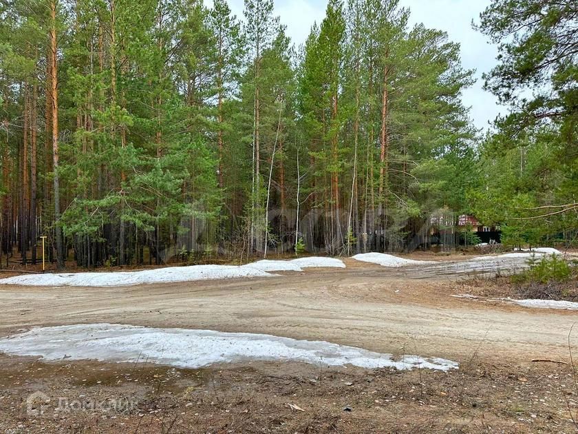 земля р-н Тюменский д Железный Перебор ул Сосновая фото 3