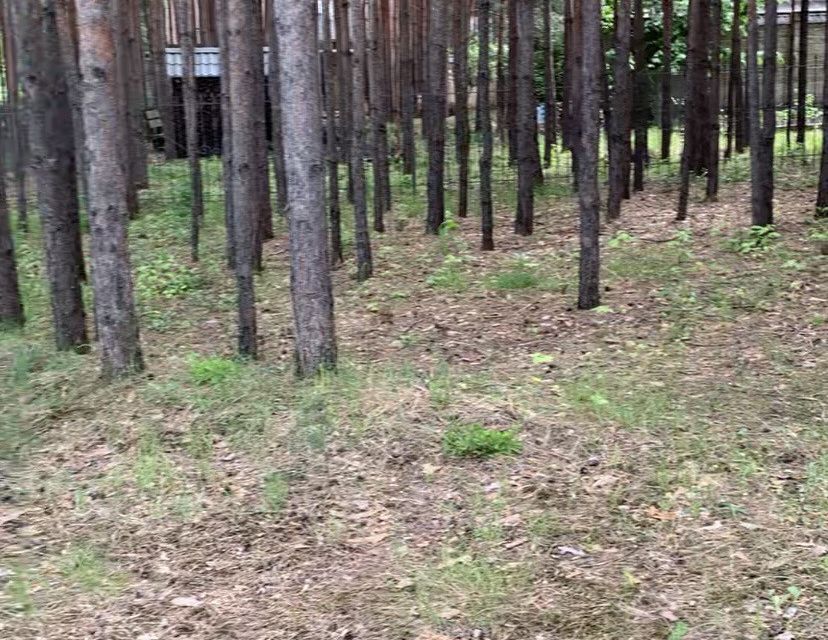 земля г Воронеж р-н Железнодорожный ул Егоровская городской округ Воронеж фото 1