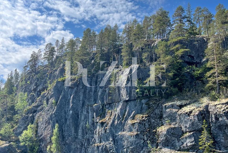 земля р-н Питкярантский Харлуское сельское поселение фото 4