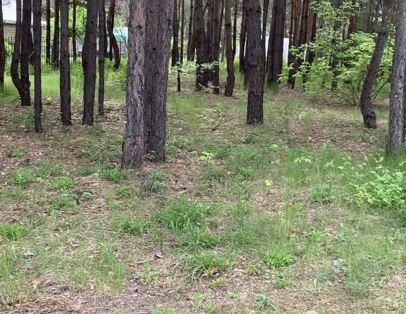 земля г Воронеж р-н Железнодорожный ул Егоровская городской округ Воронеж фото 2