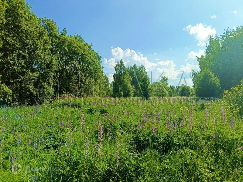 земля р-н Псковский д Ершово ул Остенская фото 2