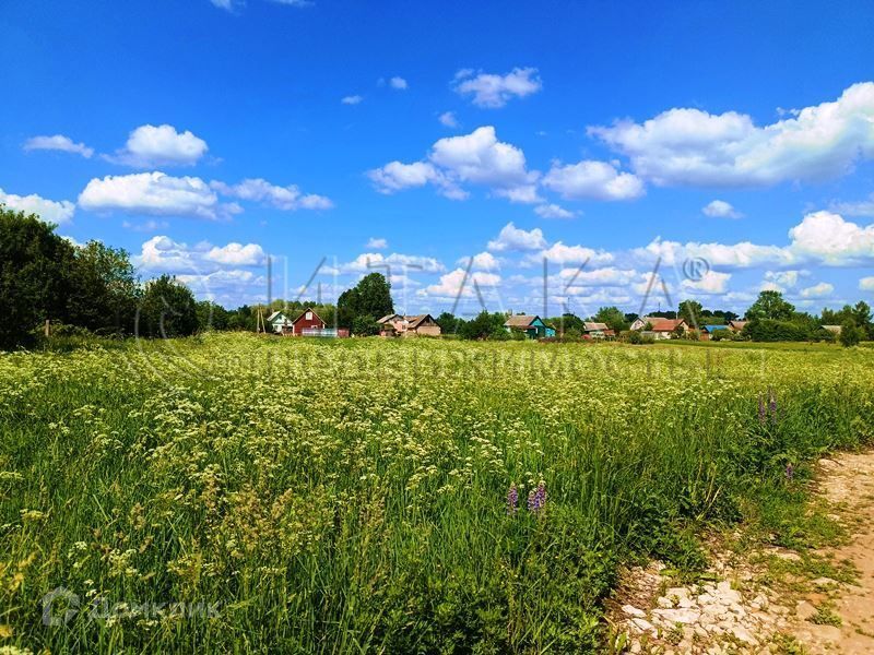 земля р-н Псковский д Ершово ул Остенская фото 4