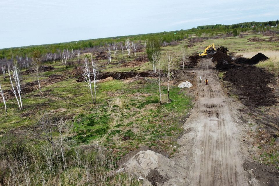 земля г Тюмень городской округ Тюмень, садоводческое некоммерческое товарищество Матрёшка фото 1