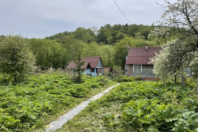 городской округ Южно-Сахалинск, СНТ Маячок фото