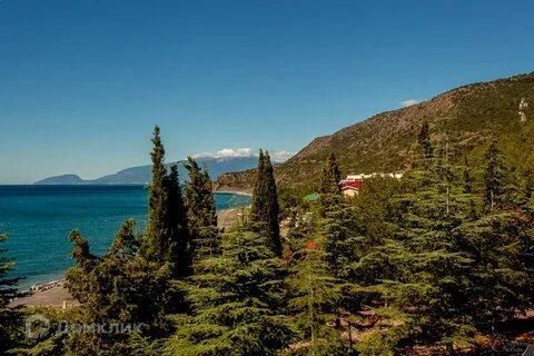 земля городской округ Алушта, Курортная улица, 6, село Приветное фото 4