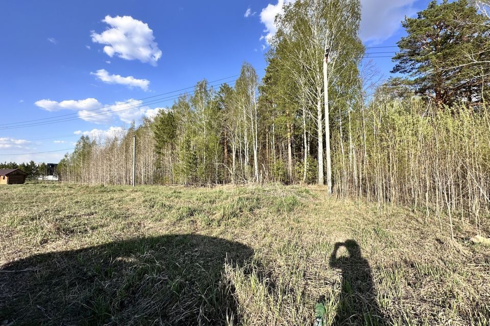 земля р-н Нижнетавдинский деревня Штакульская фото 3