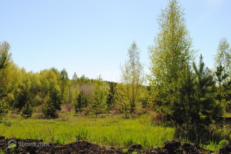 земля р-н Новосибирский село Ленинское фото 4