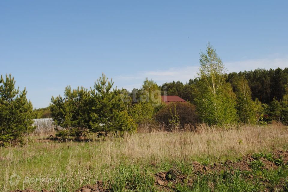 земля р-н Новосибирский село Ленинское фото 3