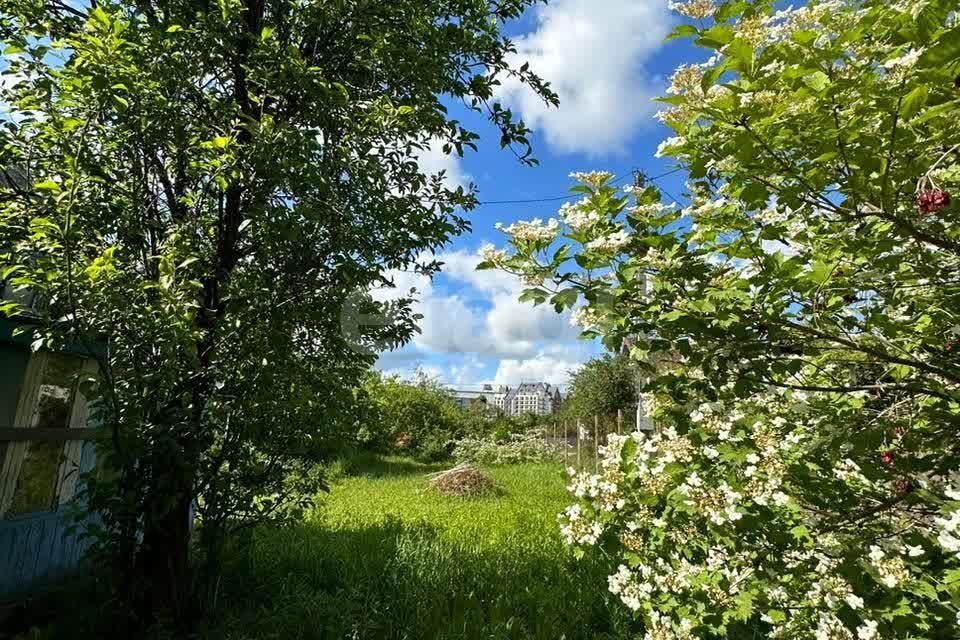 земля г Калининград р-н Ленинградский городской округ Калининград, СНТ Сад-9 фото 3