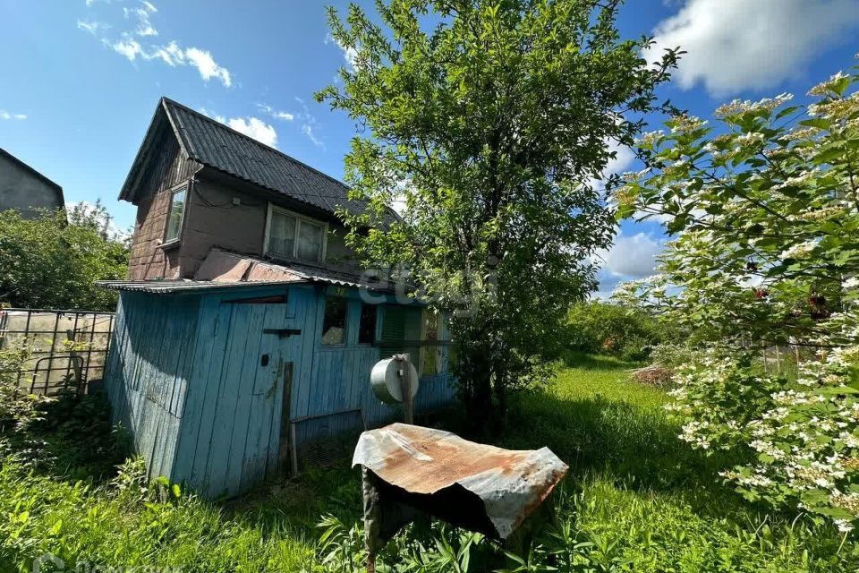 земля г Калининград р-н Ленинградский городской округ Калининград, СНТ Сад-9 фото 4