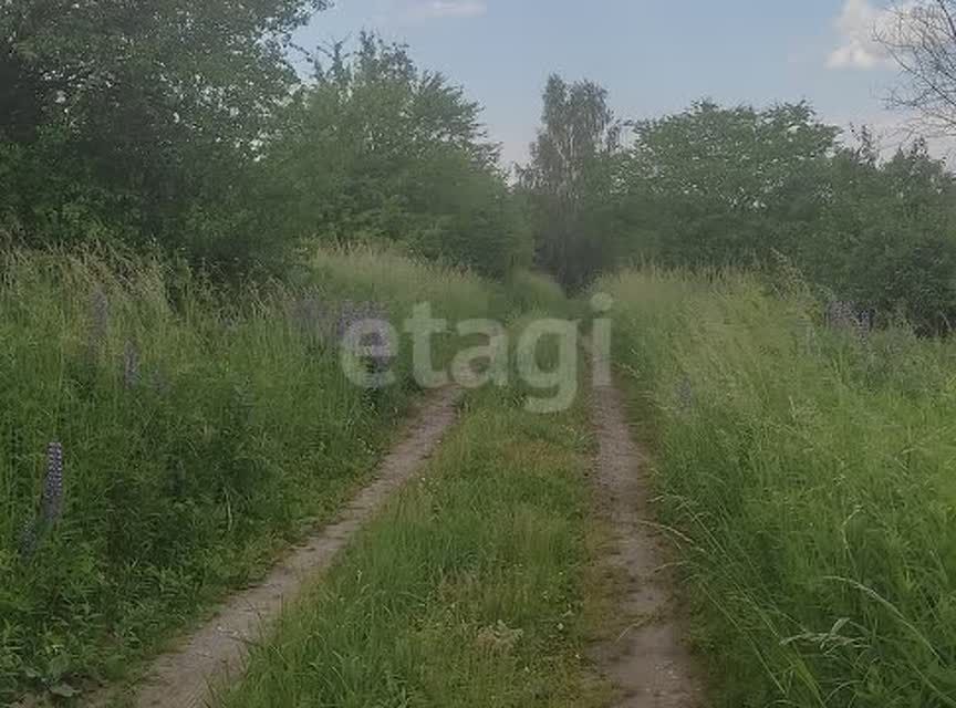 земля р-н Гурьевский СТ Светлое фото 2