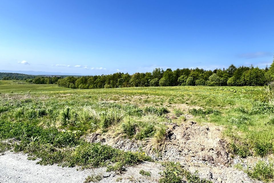 земля р-н Корсаковский село Соловьёвка фото 2