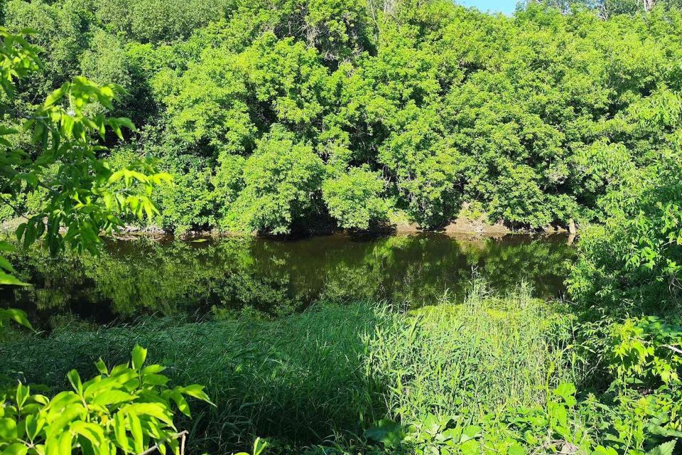 земля р-н Алексеевский село Алексеевка фото 1