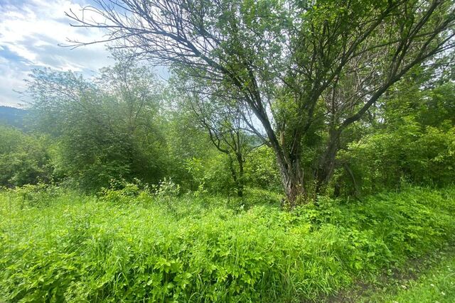 городской округ Горно-Алтайск, СНТ Медик фото