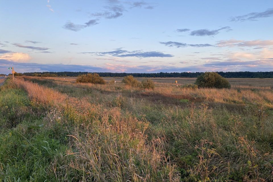 земля р-н Чудовский поселок Селищи фото 1