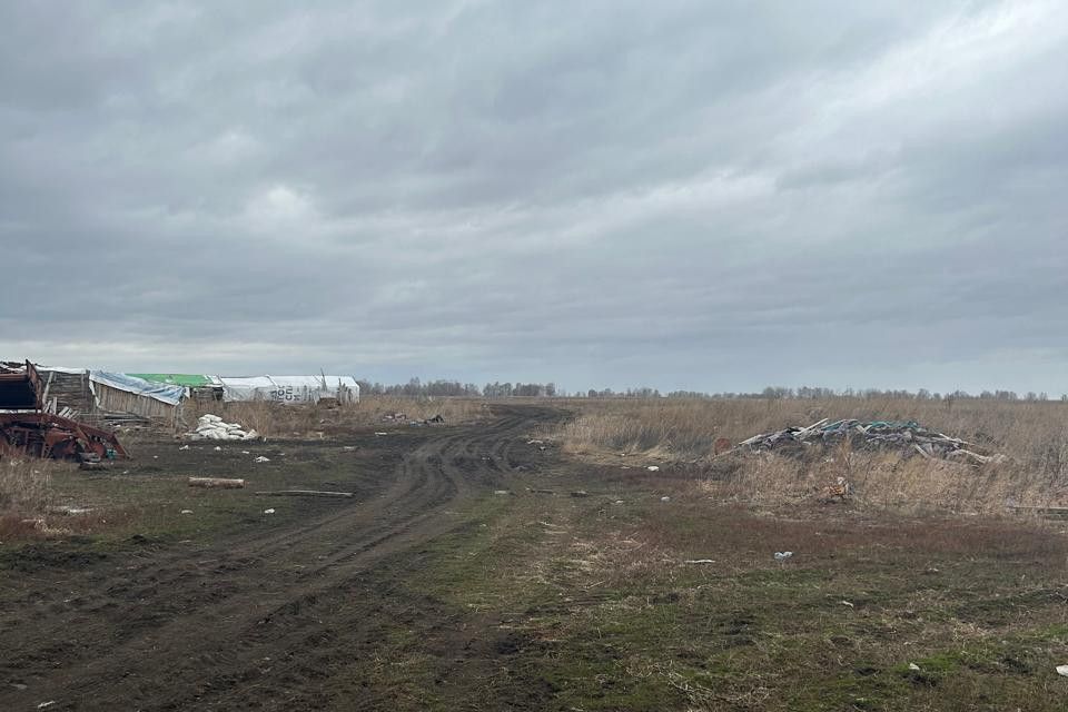 земля р-н Сухобузимский Шилинский сельсовет фото 1