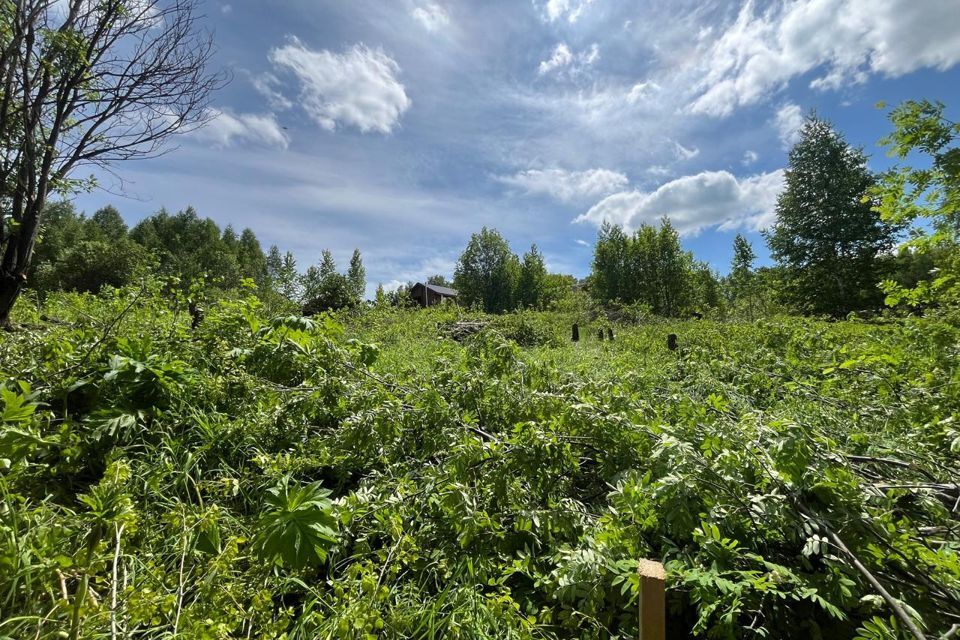 земля г Новокузнецк р-н Заводской ул Ладожская Новокузнецкий городской округ фото 1